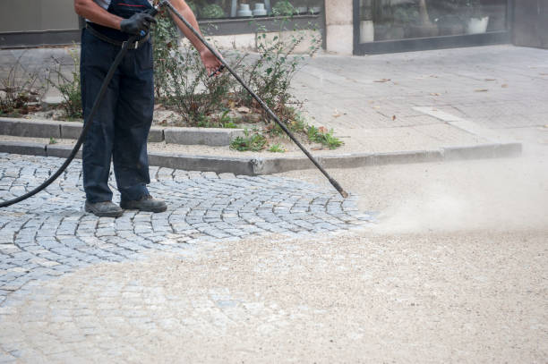 Animal Enclosure Cleaning in Sharpsburg, NC