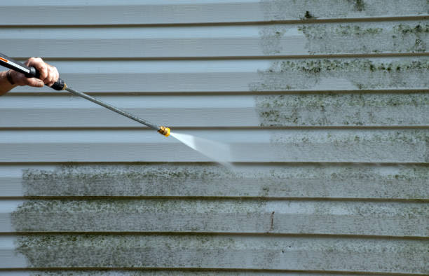 Best Gutter Cleaning  in Sharpsburg, NC